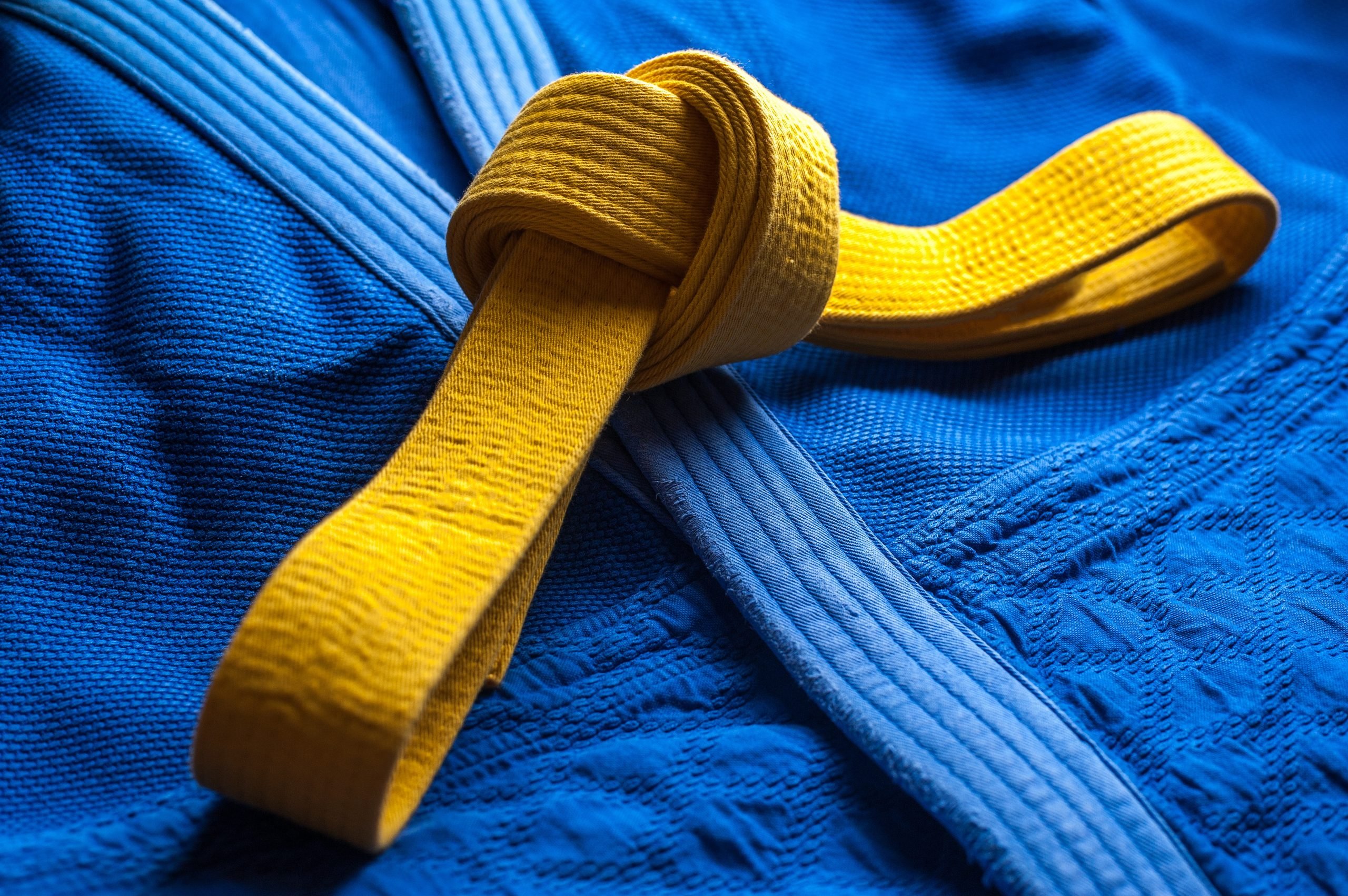 DONATE NOW: EJU FUNDRAISING FOR UKRAINIAN JUDO FAMILY - European Judo Union