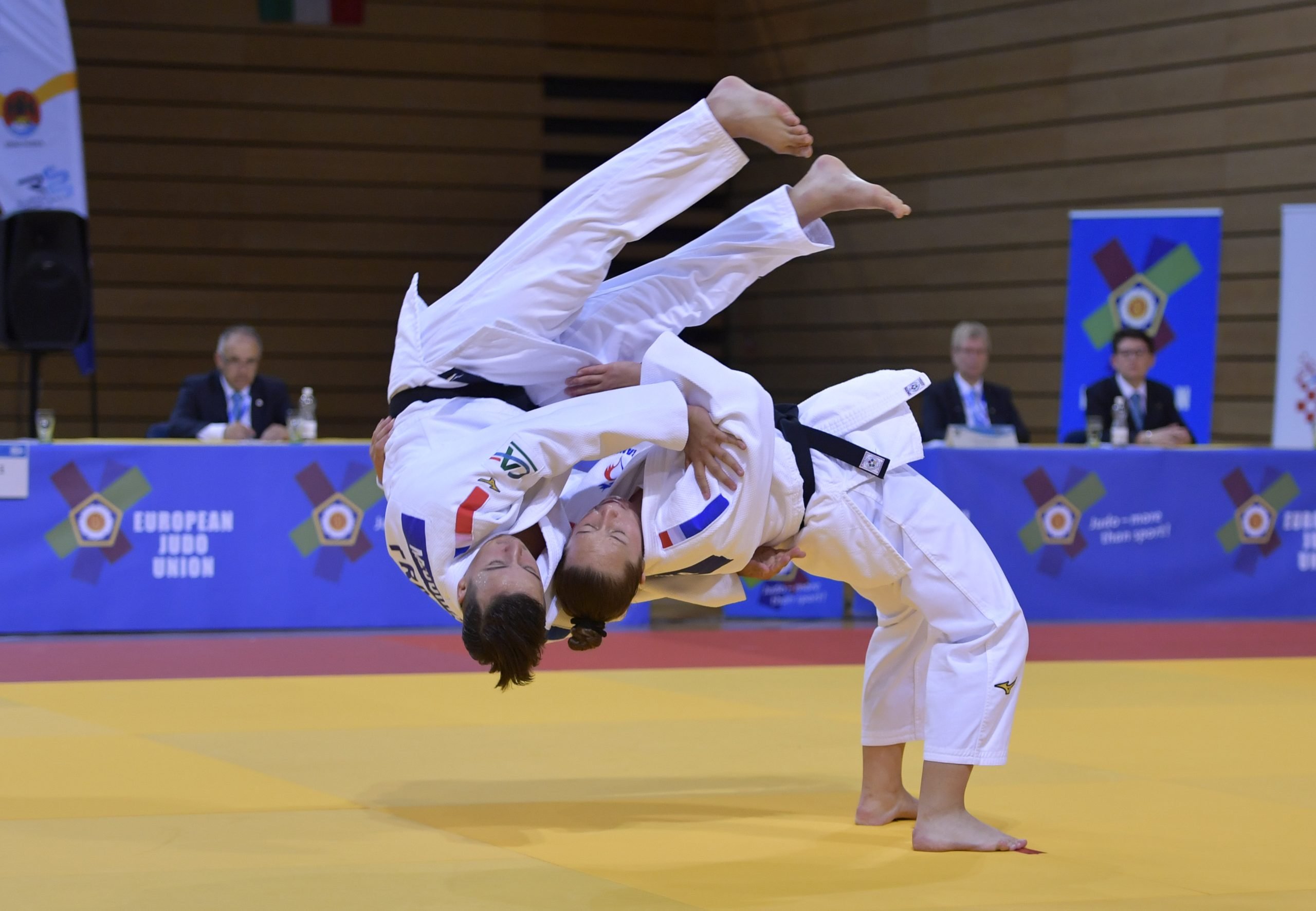 KATA 2022: "GRAMMAR OF JUDO" - European Judo Union