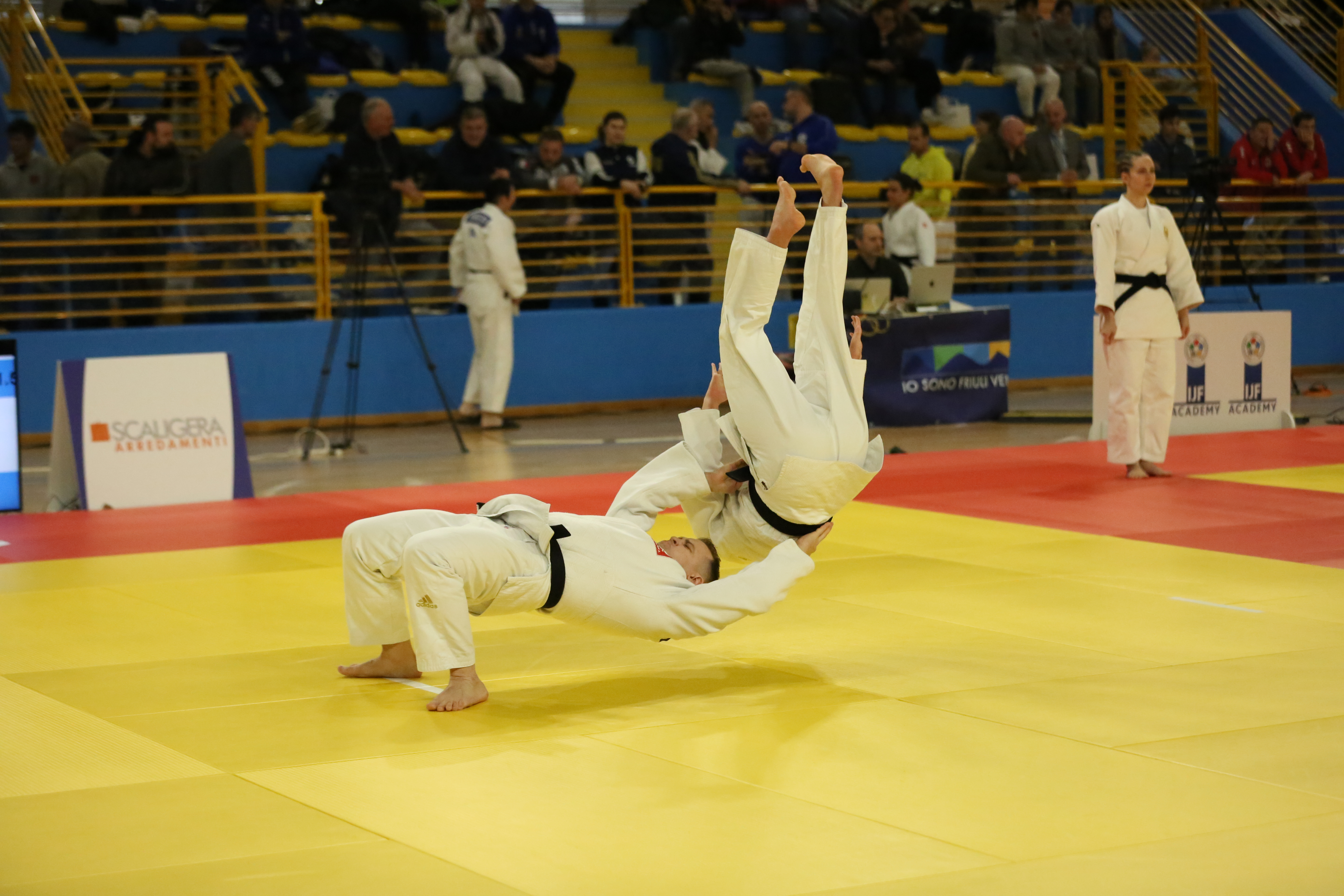 Pordenone Sets the Standard as EJU Kata Tour Opens