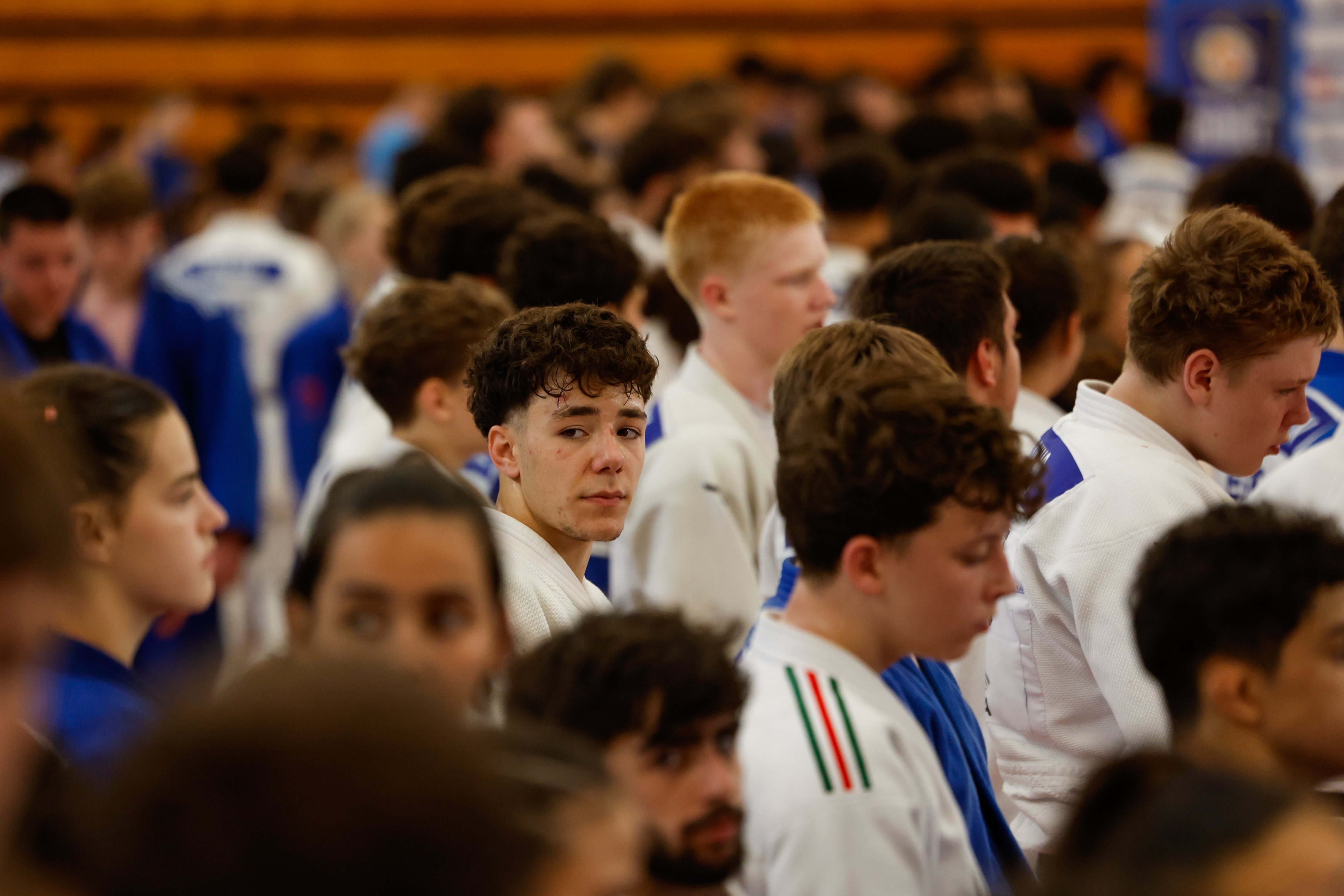 Faro: With a Nose for the Future