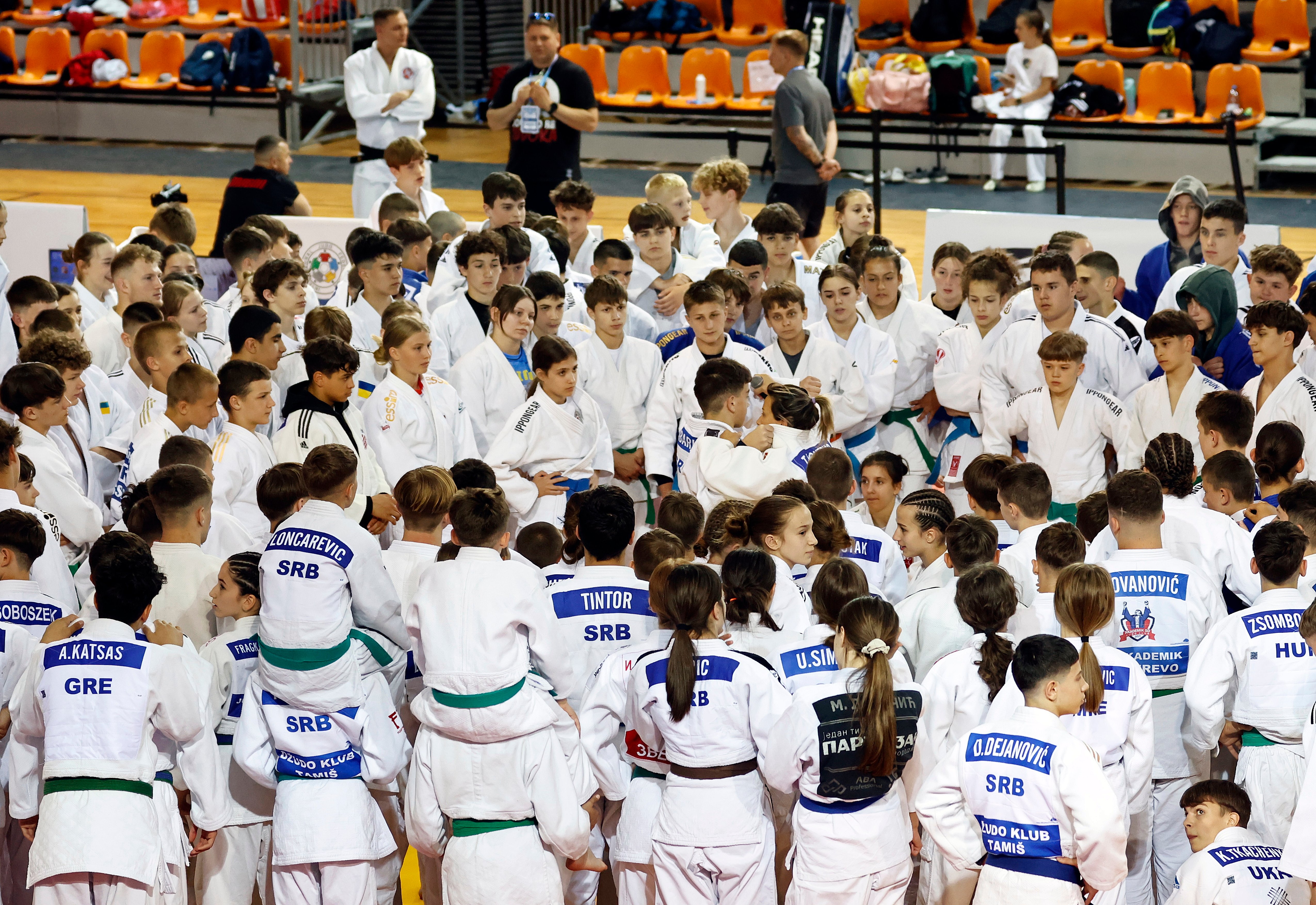 Learning from Legends, Competing Like Champions